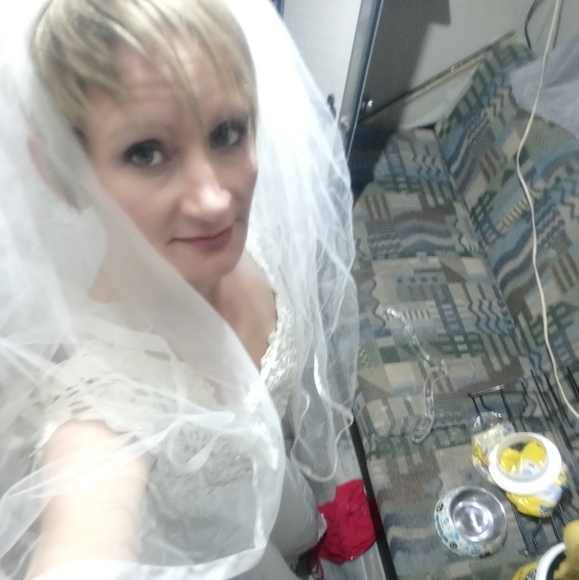 David's Bridal wedding gown with veil - Picture 11 of 11